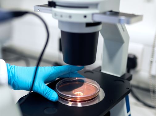 Miből áll az andrológiai kivizsgálás?