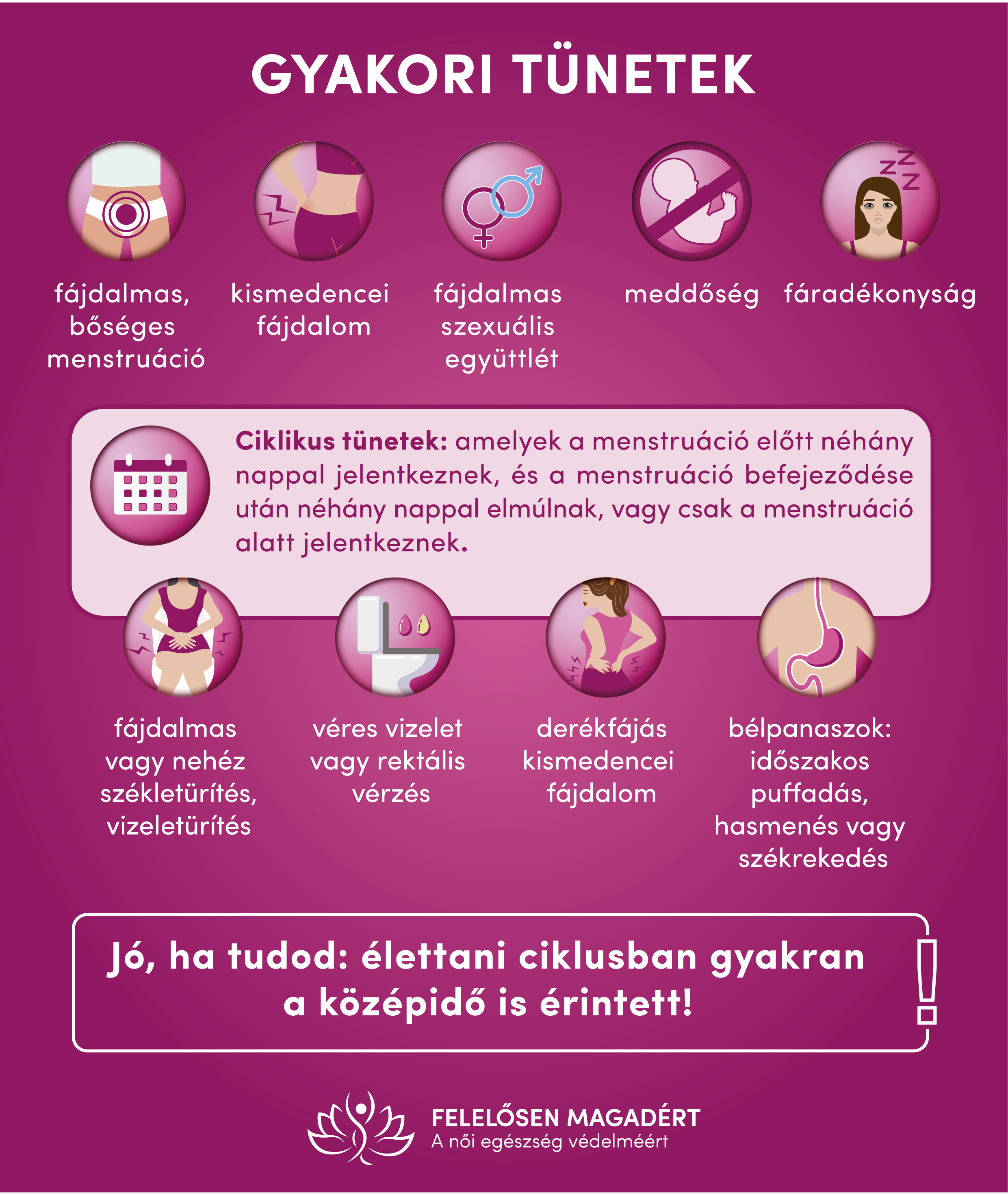 FEME Endometriozis infografika 231006 04
